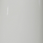 RAL 9002